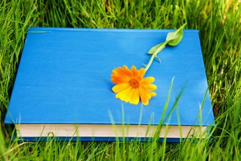 Flower on the book on the grass Stock Photos