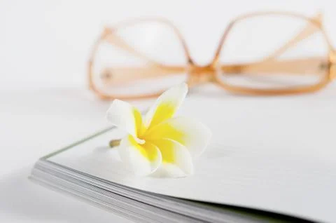 Flower on book Stock Photos