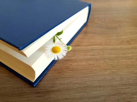 Flower in the book Stock Photos