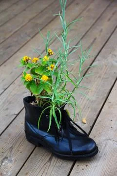 Flower in boot Foto stock