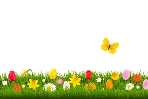 Flower Border With Butterfly Stock Illustration