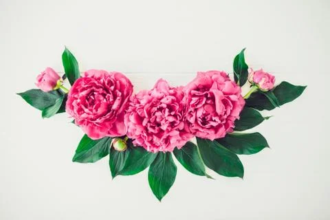 Flower border composition made of bright pink buds peony bouquet on a white w Stock Photos