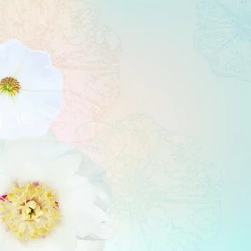 Flower border Stock Illustration