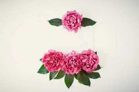 Flower border pattern frame made of bright pink buds peony bouquet on a white Stock Photos