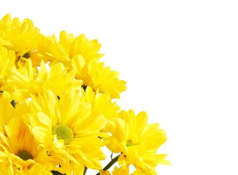 Flower border Foto stock