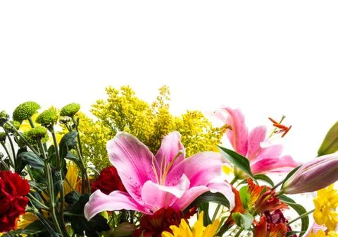 Flower border Stock Photos