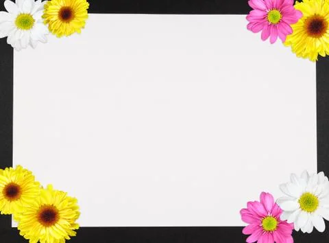 Flower border Stock Photos