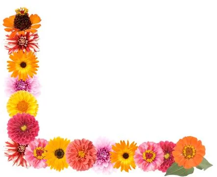 Flower border Stock Photos