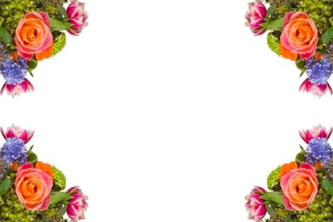 Flower Border on White Stock Photos