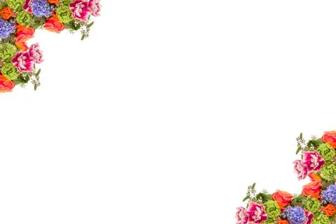 Flower Border on White Stock Photos