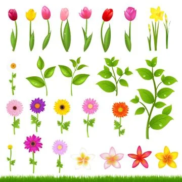 Flower borders - 8 Stock Illustration