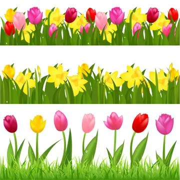 Flower borders Stock Illustration