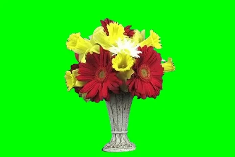 Flower bouquet Video stock 19140903