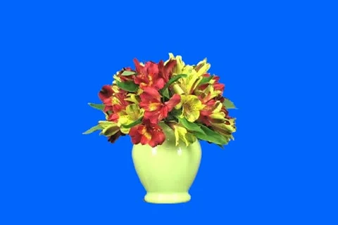 Flower bouquet Video stock 19148149