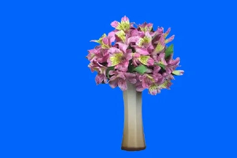 Flower bouquet Video stock 19158912