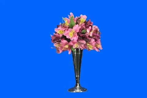 Flower bouquet Video stock 19164981