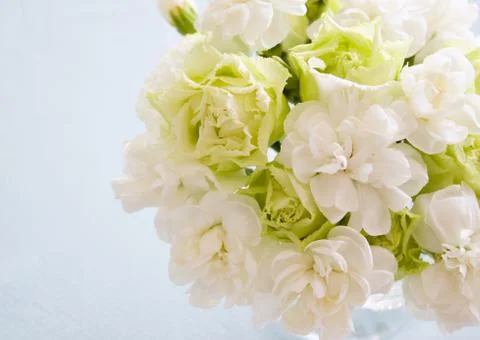 Flower bouquet Stock Photos