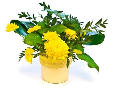 Flower Bouquet Stock Photos
