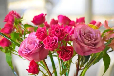 Flower Bouquet 스톡 사진