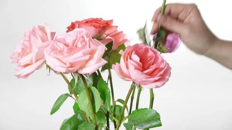 Flower Bouquet Preparation Stock Footage 8916348