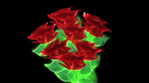 Flower bouquet red Stock Footage 262136393