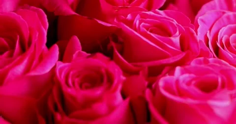 Flower bouquet from red or pink roses for valentine's day, mother day. Conc.. Stock Footage 300365953