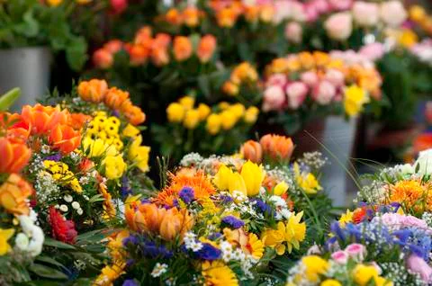 Flower Bouquets Stock Photos