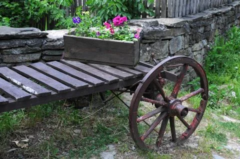Flower box on the cart Stock Photos