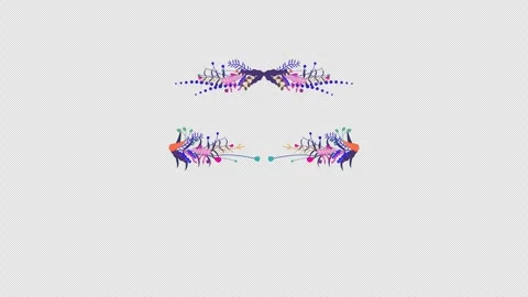 Flower box Video stock 247114079