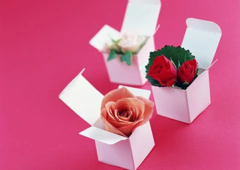 Flower Box Stock Photos