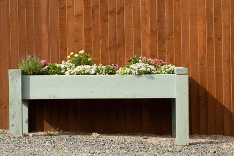A flower box Stock Photos