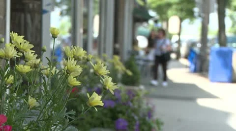 Flower box on sidewalk with shoppers in the background Stock Footage 8981364
