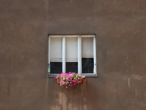 Flower Box under Tree Cell Window on Brown Concrete Wall Stock Photos