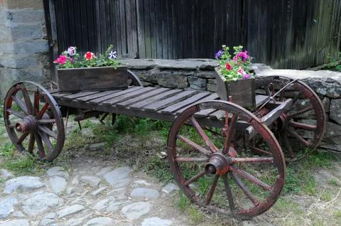 Flower boxes on the cart Foto stock