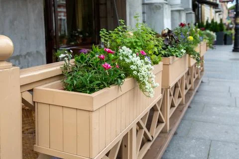 Flower boxes decorating a summer cafe Stock Photos