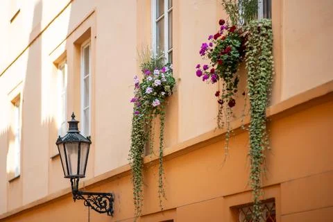 Flower boxes on warm building facade with vintage street lantern Fotos de archivo