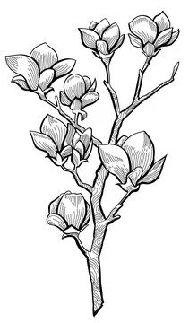 Flower with branch Stock Illustration