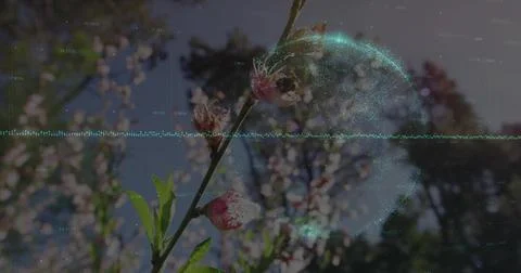 Flower branch staying sharp while cyan wave starting turquoise orb growing, Stock Photos