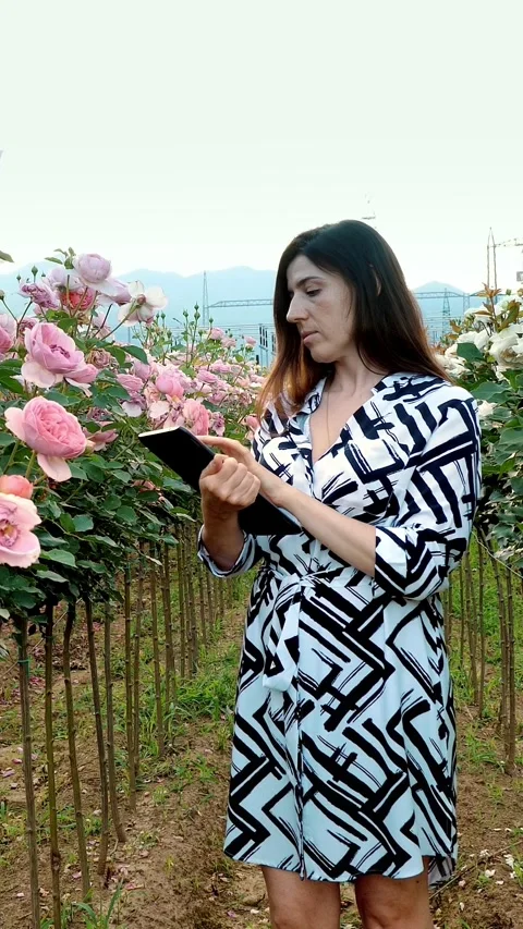 Flower breeder. Garden. Writes to tablet. Rose bloom. Soft sunlight. Field of Stock Footage 314889546