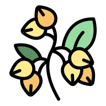 Flower buckwheat icon vector flat 스톡 일러스트