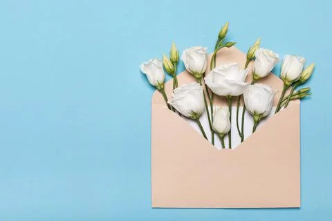 Flower bud flat lay in an envelope lisianthus or eustoma, texas bell and prai Foto stock
