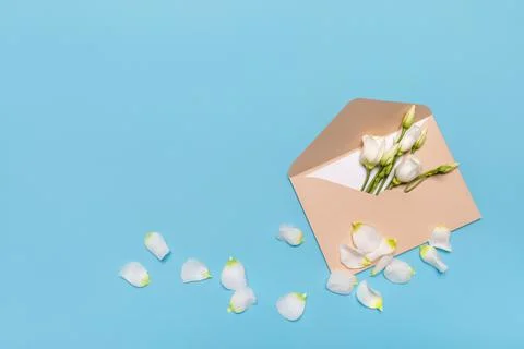 Flower bud flat lay in an envelope lisianthus or eustoma, on pastel blue 스톡 사진