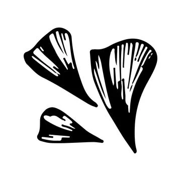 Flower bud petals set. Vector linear illustration. Black and white sketch gra Stock Illustration