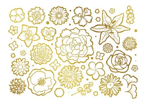 Flower buds set, top view. Golden metallic outline Stock Illustration