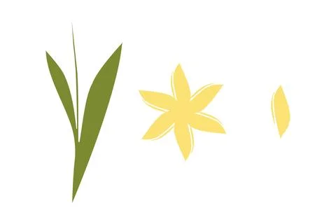 Flower builder kit parts stem petals and bloom Stock Illustration