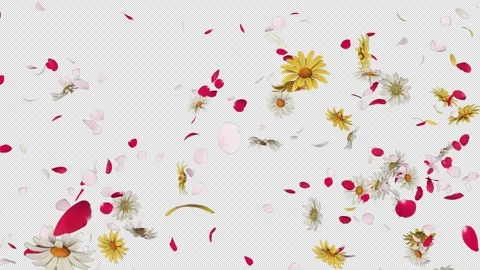 Flower Burst on Alpha Stock Footage 265367386