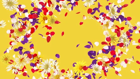 Flower Burst on Background Stock Footage 246485058