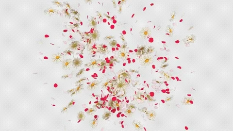 Flower Burst on Background Stock Footage 291945864
