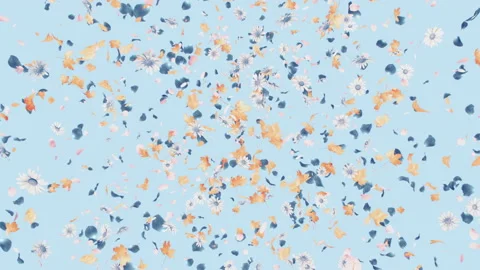 Flower Burst on Pastel Background Stock Footage 200816994