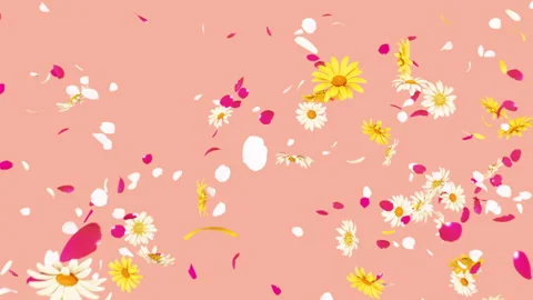 Flower Burst on Pastel Stock Footage 265367404